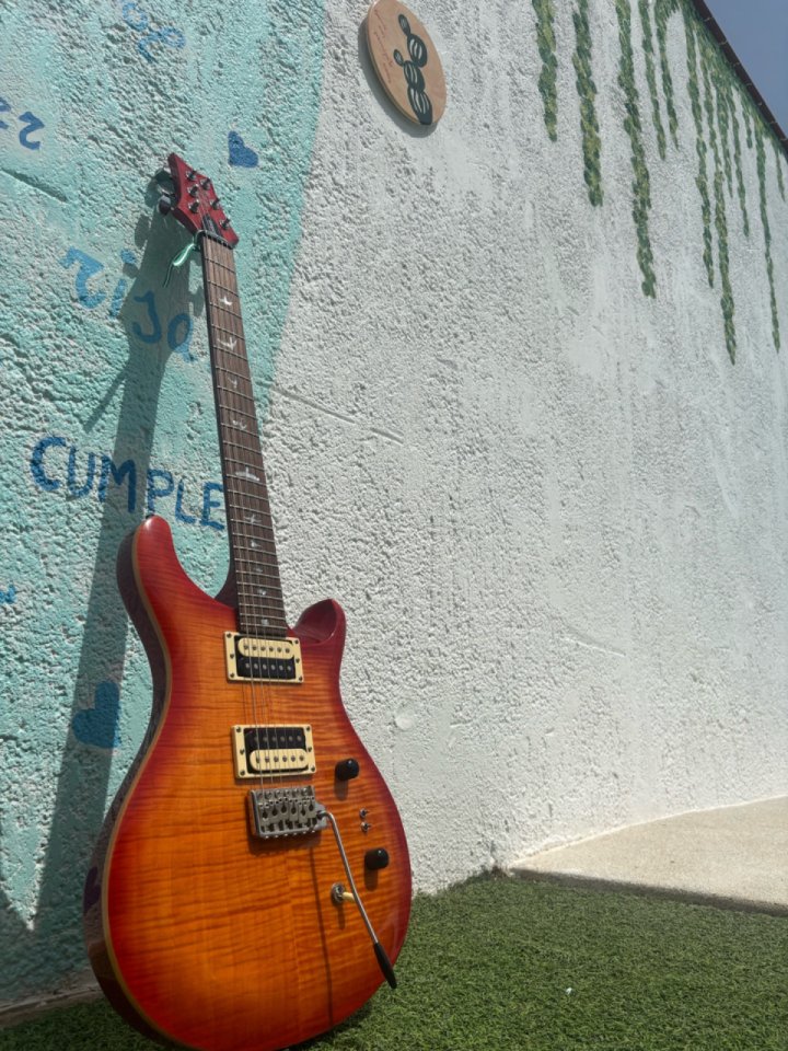 Prs se custom 24-08 de segunda mano · Foto 1 de 10 · Sevilla · 550 €