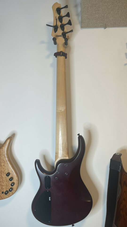 MTD Kingston Andrew Gouche Sig. 5