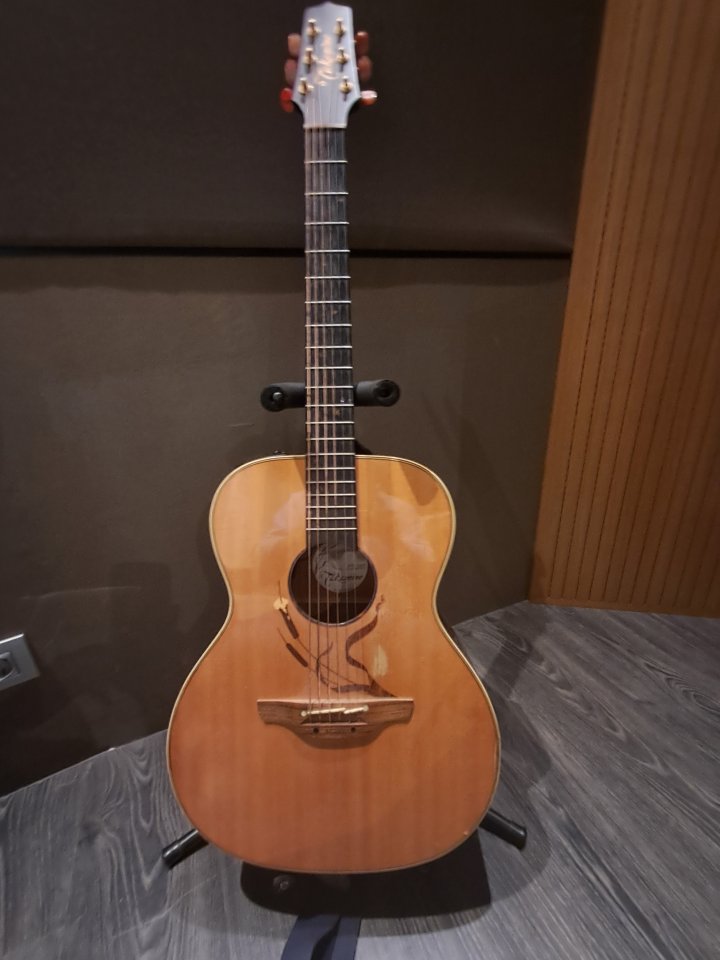 Guitarra Takamine LTD-2005 Edición Limitada de segunda mano · Foto 1 de 5 · Barcelona · 1200 €