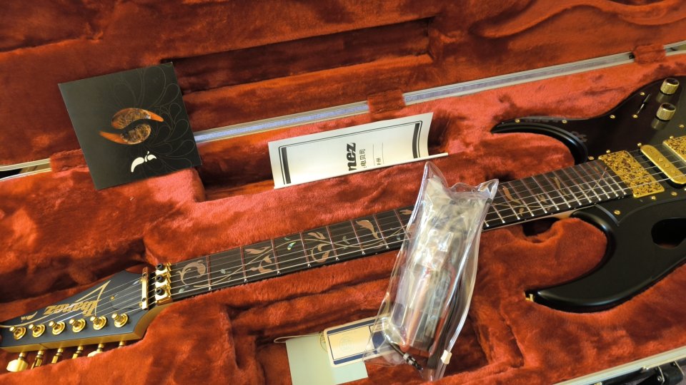 Vendo Ibanez PIA3761 Onyx Black