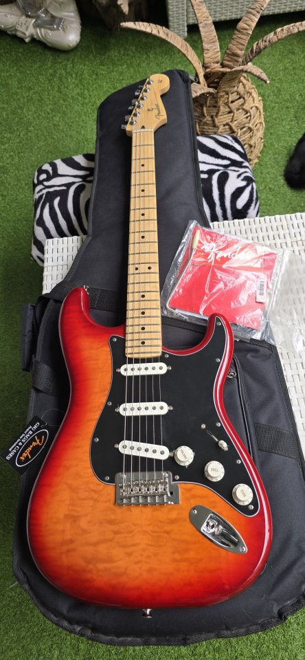 Player Stratocaster® Plus Top de segunda mano · Foto 1 de 10 · Madrid · 690 €
