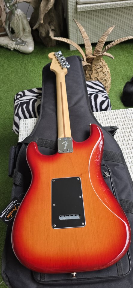 Player Stratocaster® Plus Top de segunda mano · Foto 5 de 10 · Madrid · 690 €