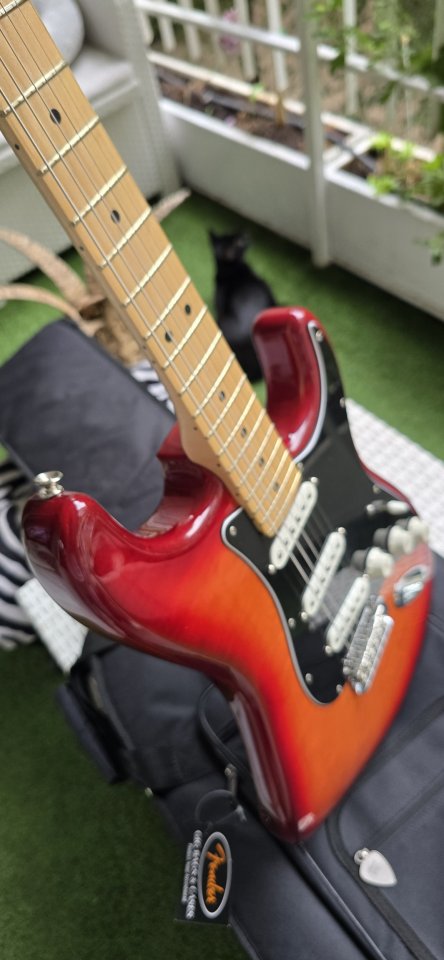 Player Stratocaster® Plus Top de segunda mano · Foto 9 de 10 · Madrid · 690 €