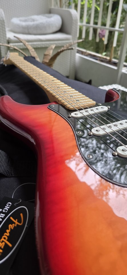 Player Stratocaster® Plus Top de segunda mano · Foto 10 de 10 · Madrid · 690 €