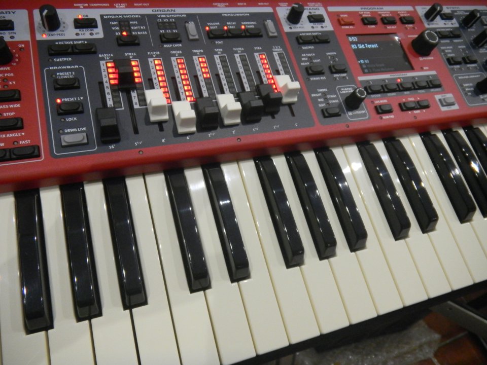 NORD ELECTRO 7 61 de segunda mano · Foto 4 de 4 · Málaga · 1875 €