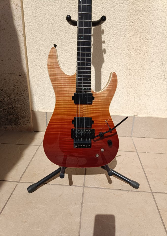 Schecter SLS Elite FR