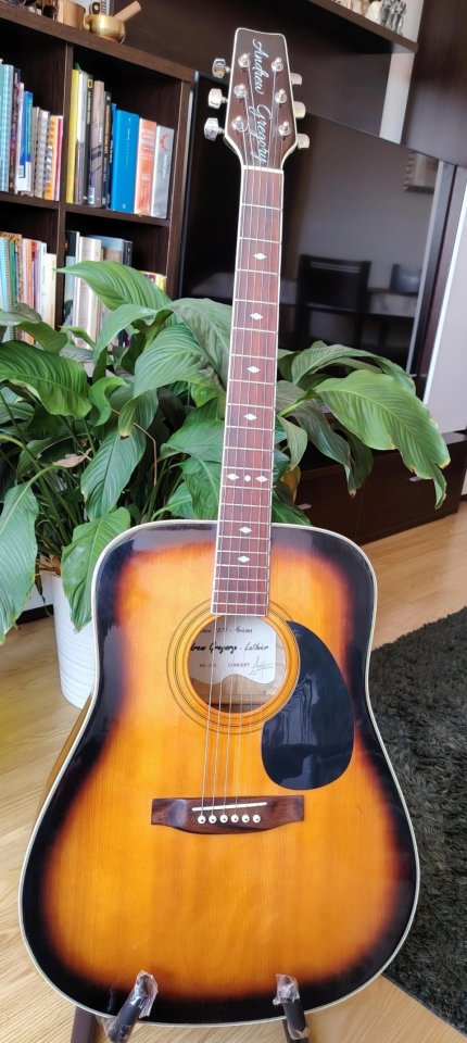 Guitarra acustica Andrew Gregory de segunda mano · Foto 1 de 10 · Madrid · 80 €