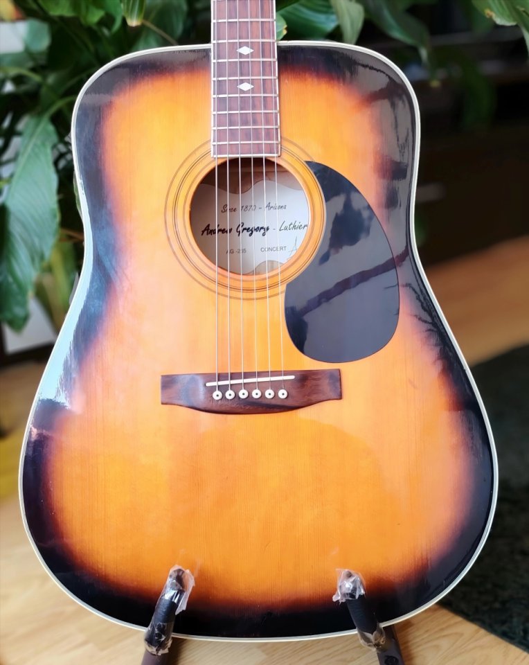 Guitarra acustica Andrew Gregory de segunda mano · Foto 3 de 10 · Madrid · 80 €