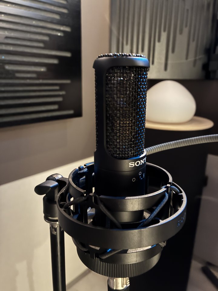 Micrófono Sony c-100 (condensador de gran diafragma)