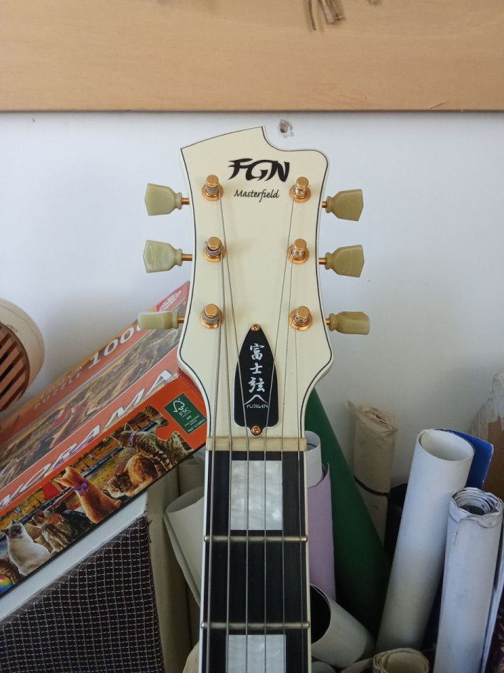 FGN MSA MASTERFIELD Japonesa 2020 aprox