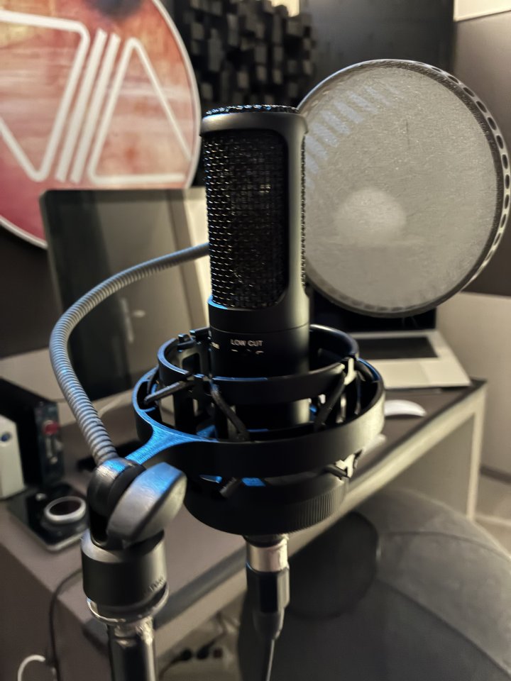 Micrófono Sony c-100 (condensador de gran diafragma)