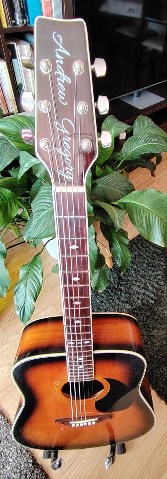 Guitarra acustica Andrew Gregory de segunda mano · Foto 8 de 10 · Madrid · 80 €