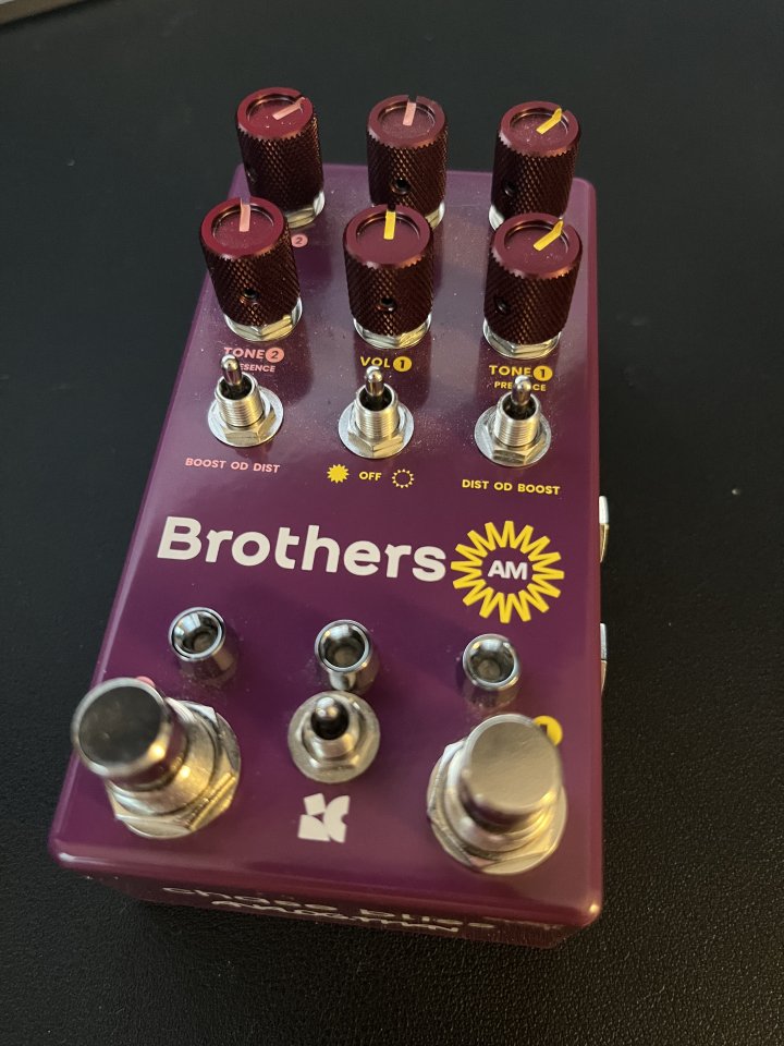 Chase Bliss Audio Brothers AM