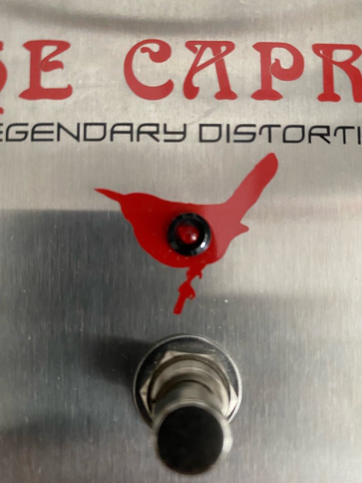Wren and Cuff The Caprid (Big Muff Ram’s head) de segunda mano · Foto 8 de 9 · Madrid · 250 €