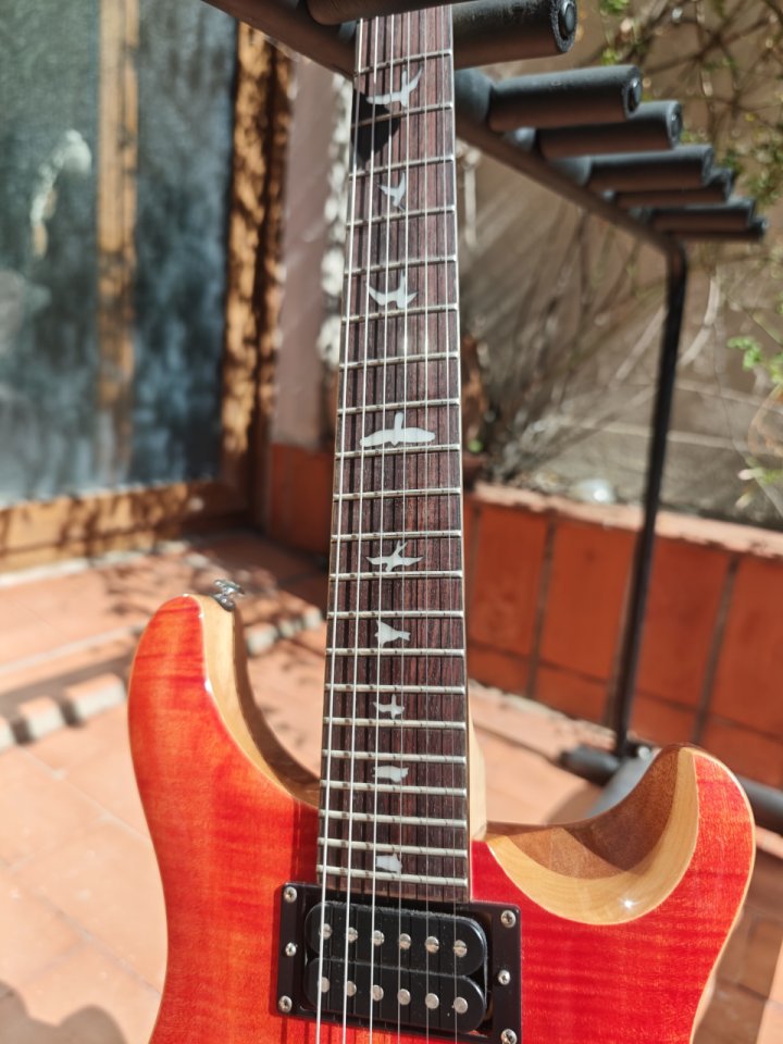 PRS SE Custom 24-08 Blood Orange 2024 de segunda mano · Foto 3 de 9 · Alicante · 800 €