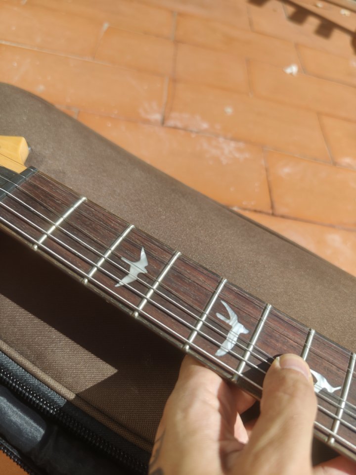 PRS SE Custom 24-08 Blood Orange 2024 de segunda mano · Foto 5 de 9 · Alicante · 800 €