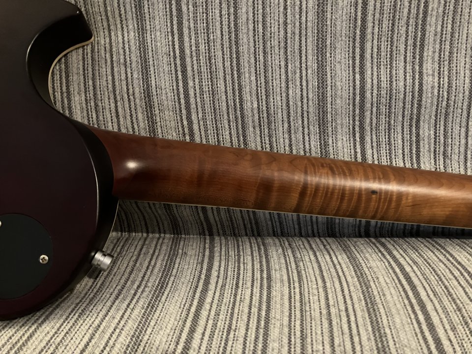 Guitarra Harley Benton Agufish Signature