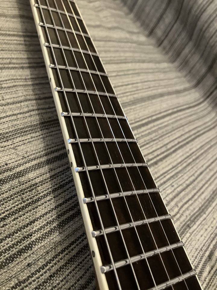 Guitarra Harley Benton Agufish Signature