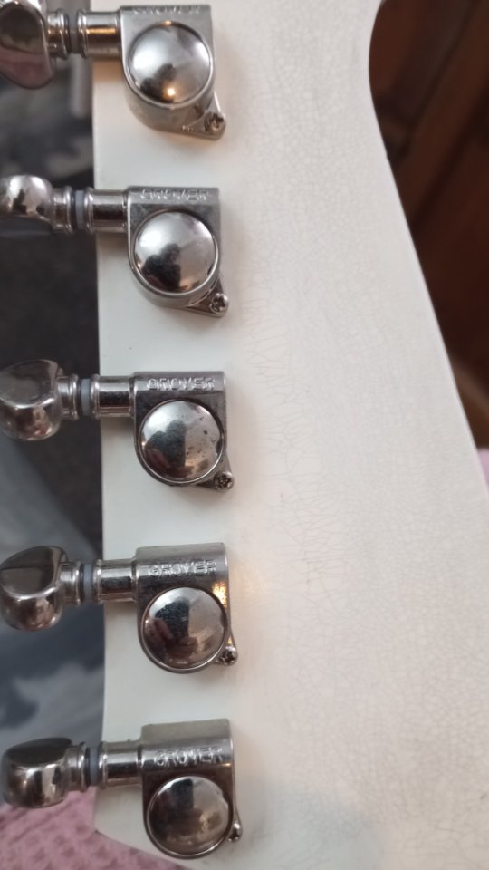 Firebird Johny Winter