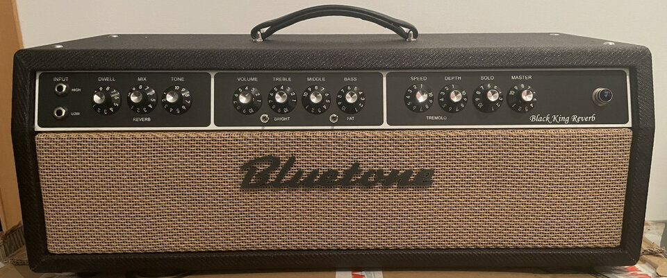 Fender Vibro King / Bluetone Black King Reverb