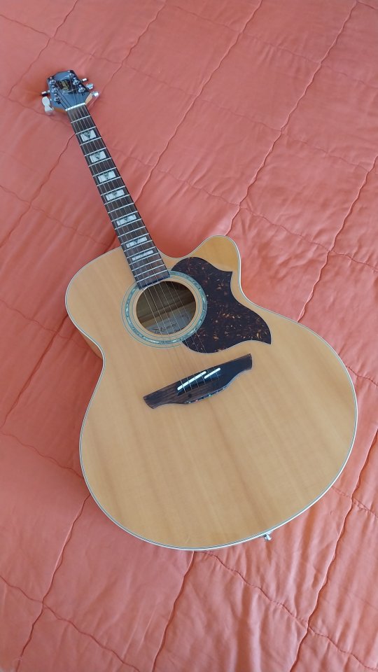 Takamine G Series