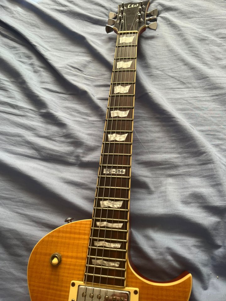 LTD EC-256 con funda