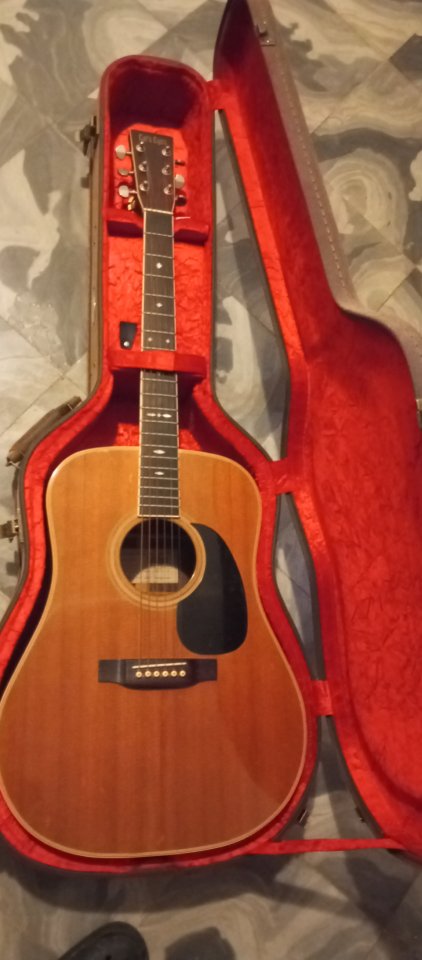 Tokai Cat's Eyes 1976