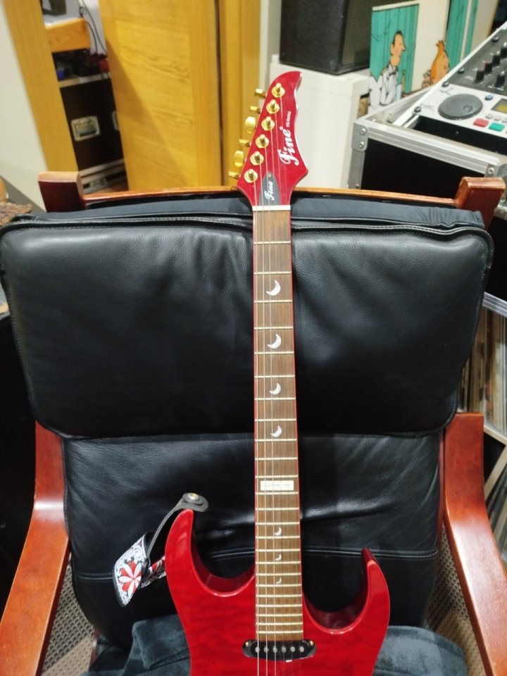 Guitarra eléctrica Fine FS Series Custom 2001