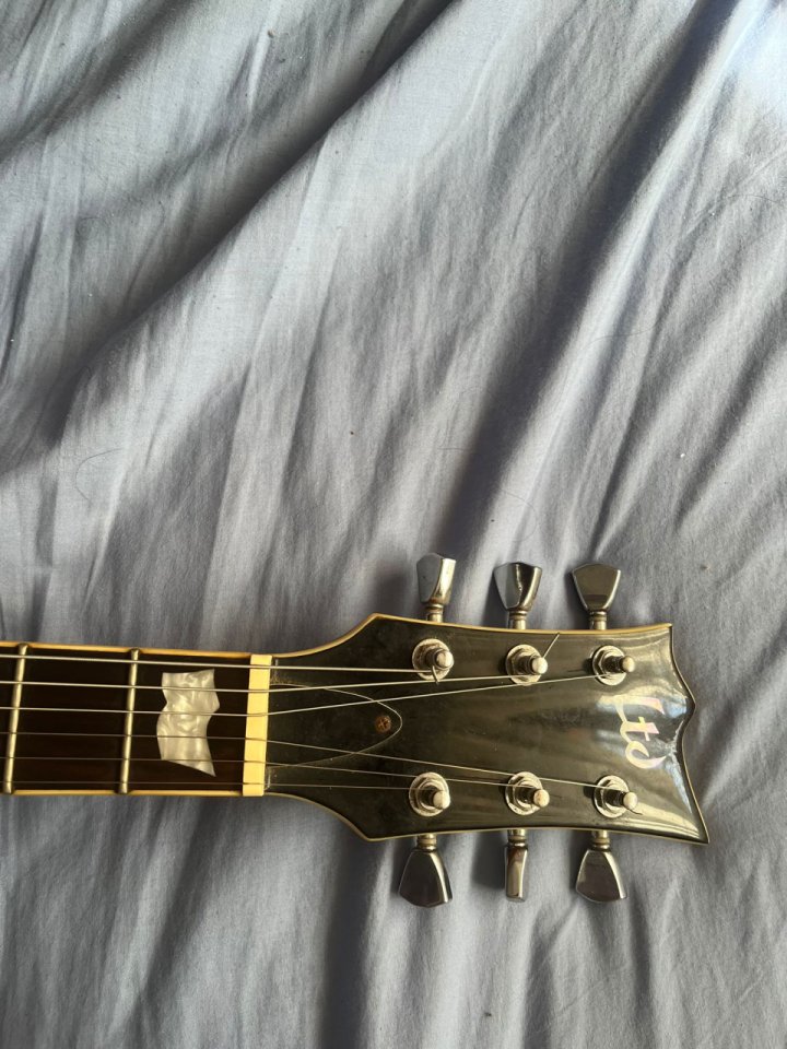 LTD EC-256 con funda