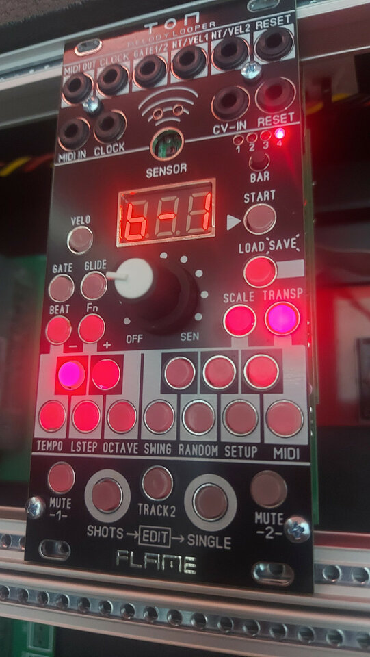 Flame Ton Melody looper de segunda mano · Foto 2 de 4 · Barcelona · 150 €