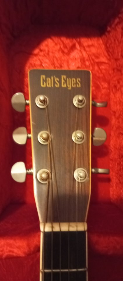 Tokai Cat's Eyes 1976