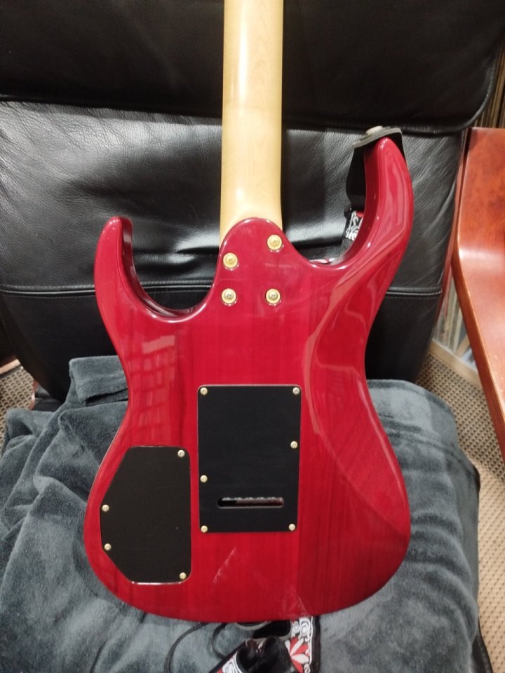 Guitarra eléctrica Fine FS Series Custom 2001