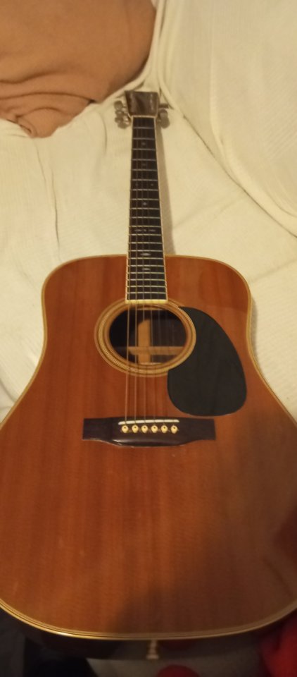 Tokai Cat's Eyes 1976