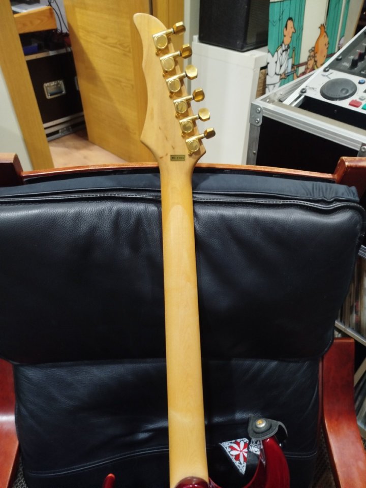 Guitarra eléctrica Fine FS Series Custom 2001