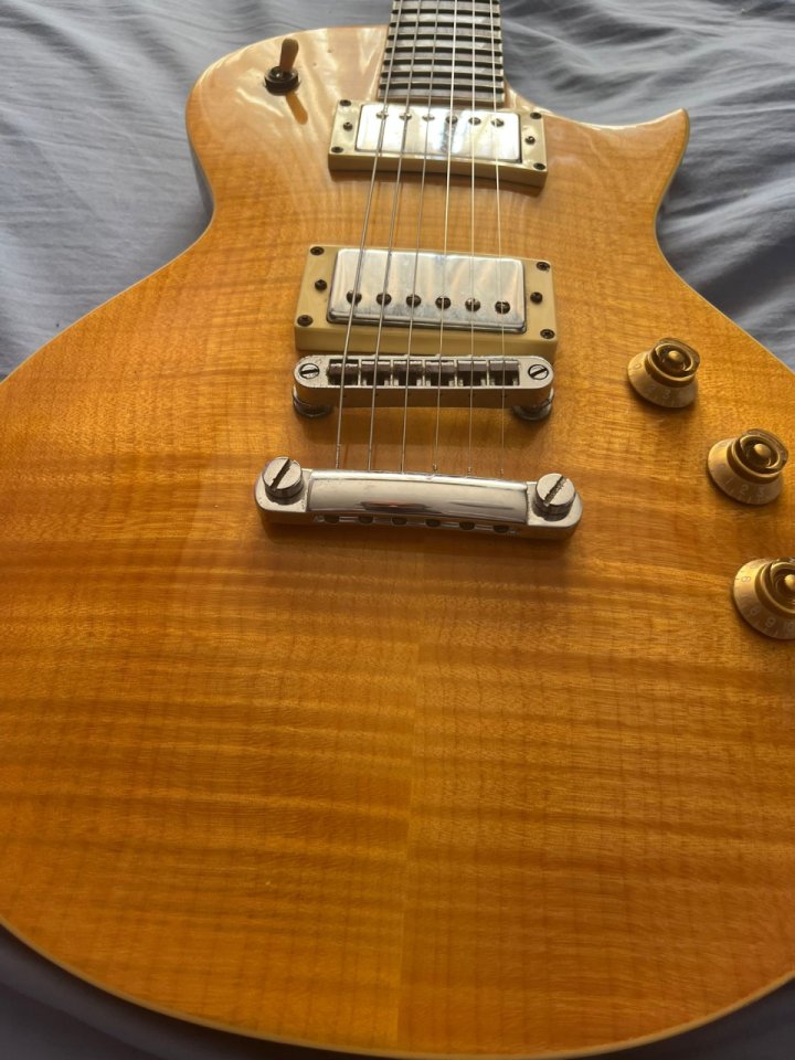 LTD EC-256 con funda