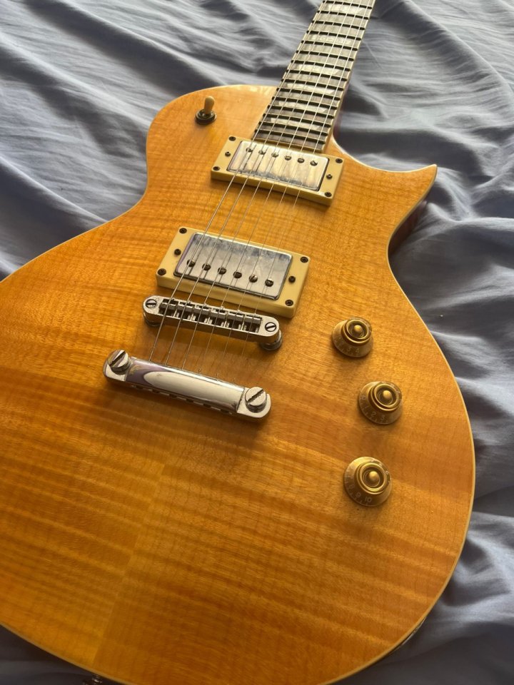 LTD EC-256 con funda