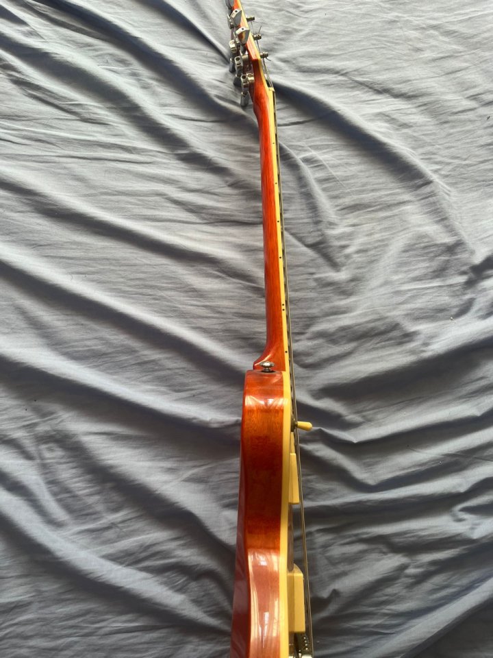 LTD EC-256 con funda