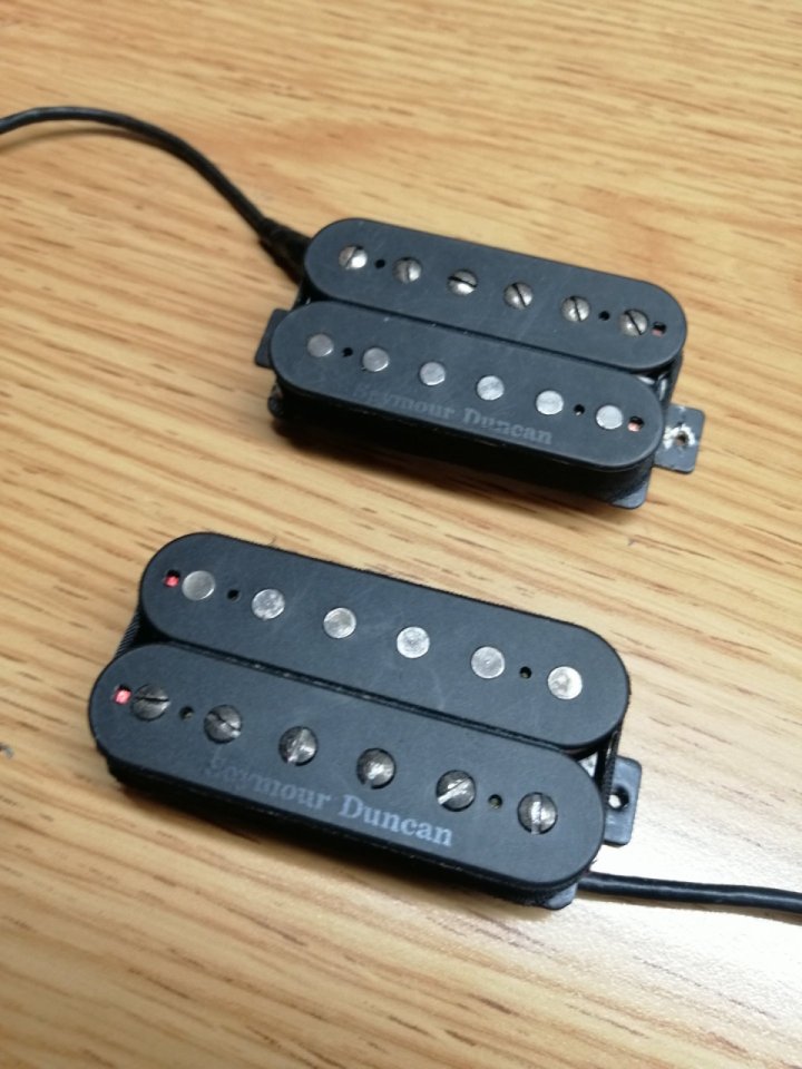 Seymour Duncan Pegasus & Sentient Set