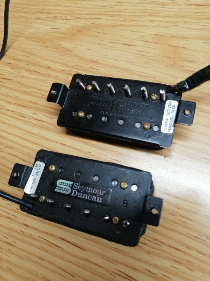 Seymour Duncan Pegasus & Sentient Set