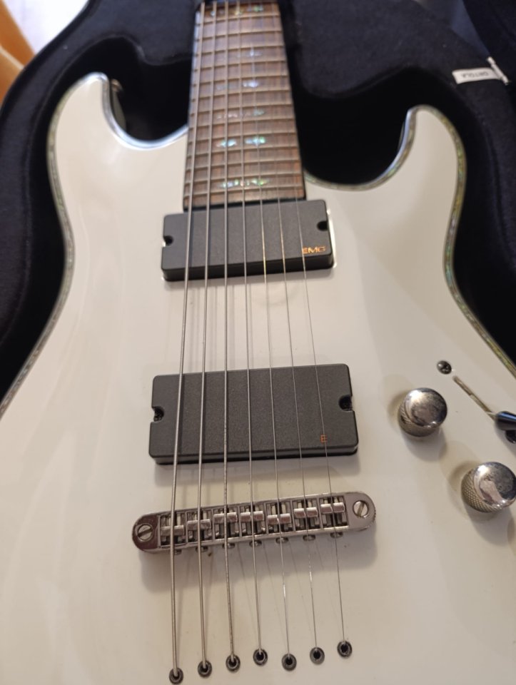 Schecter C7 Hellraiser de segunda mano · Foto 9 de 9 · Madrid · 550 €