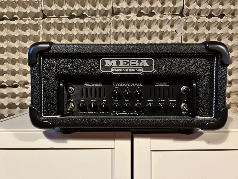 Mesa Boogie Walkabout m-pulse