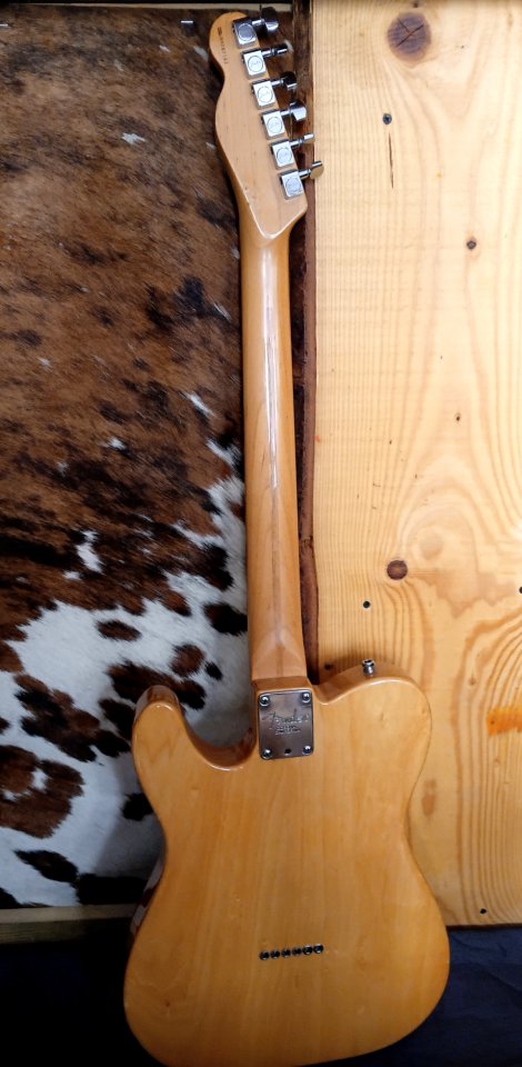 Fender Telecaster USA 1999 de segunda mano · Foto 5 de 10 · Alicante · 1350 €