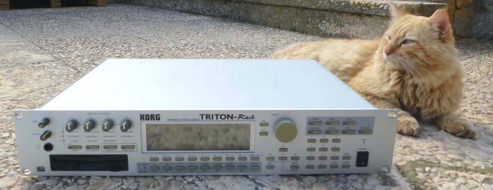 KORG Triton Rack. Expander MIDI + Sampler + ampliación 64 MB RAM