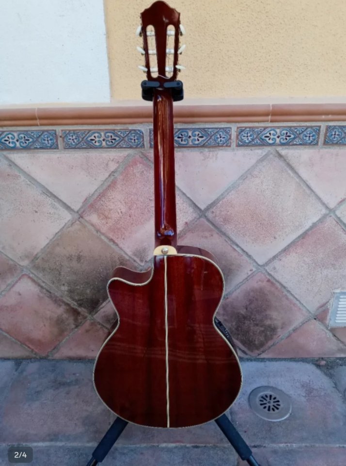 Ibanez AEG10NE electroacústica con cuerdas de nylon