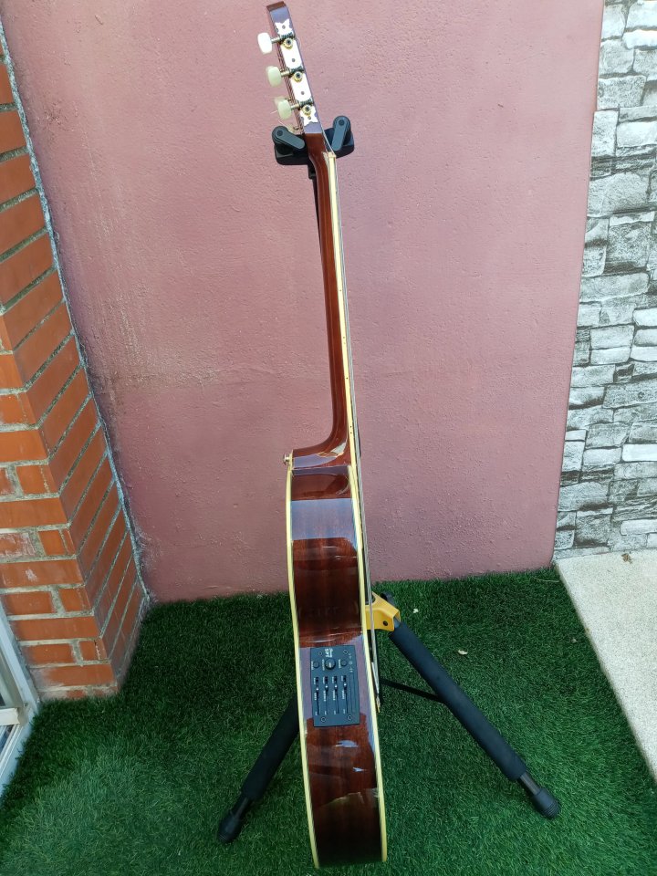 Ibanez AEG10NE electroacústica con cuerdas de nylon