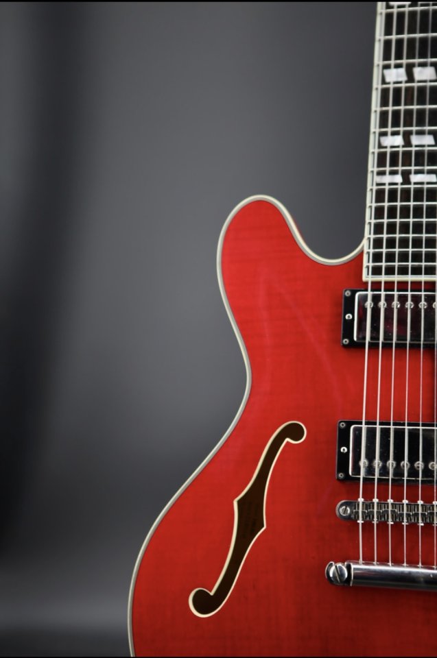 Eastman T486 (ES335) Nueva 3.55 Kg