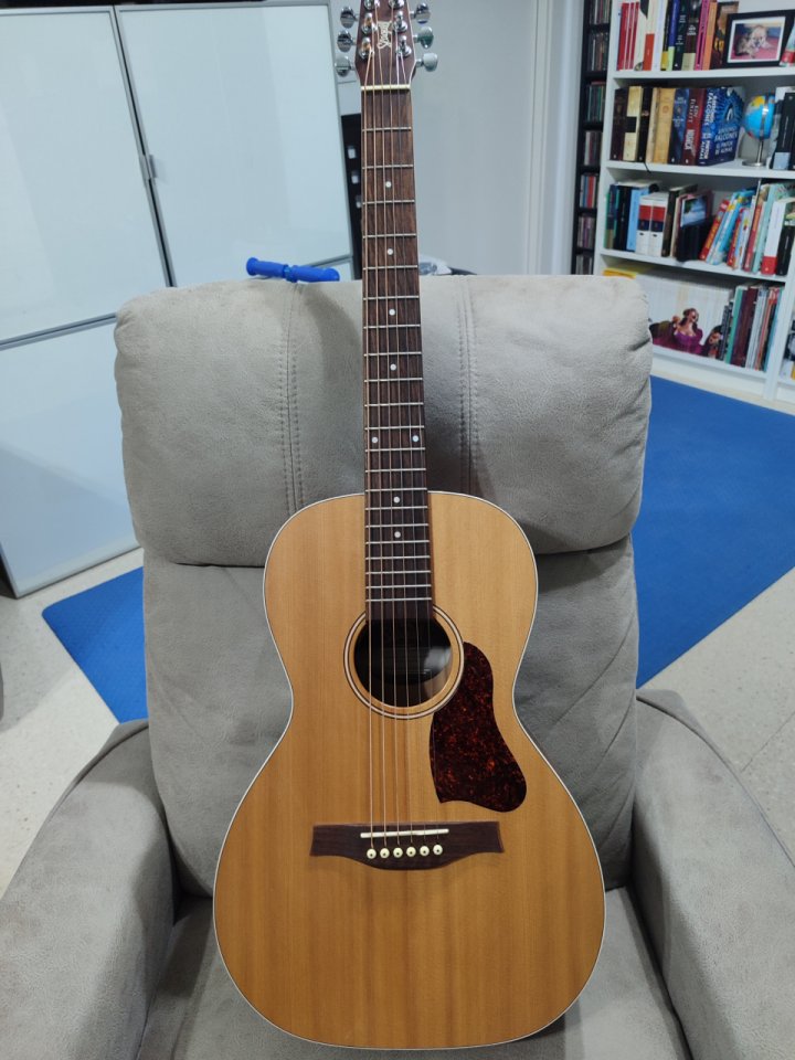 Seagull Parlor Entourage Grand Natural A/E