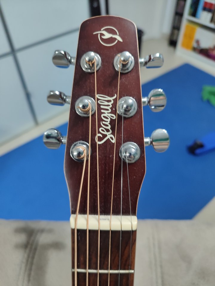 Seagull Parlor Entourage Grand Natural A/E