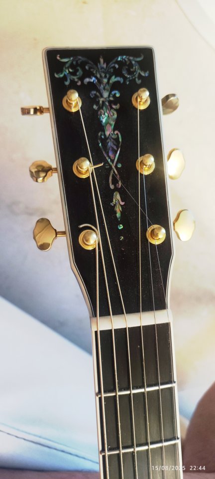 Signa S00041-SP  alta gama