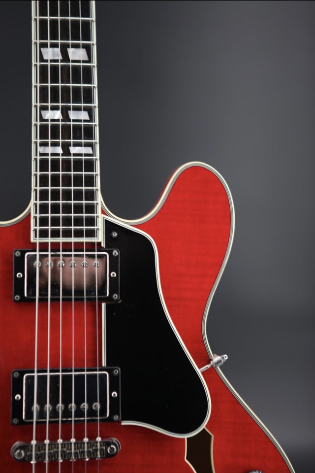 Eastman T486 (ES335) Nueva 3.55 Kg